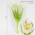 Букет латексных тюльпанов, 5 бутонов, бело-зеленый, 38 см ᐒ купить на  ❤ Like7km.com.ua