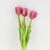 Букет латексных тюльпанов, 5 бутонов, розовый, 45 см, изображение 2 ᐒ купить на  ❤ Like7km.com.ua