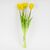 Букет латексных тюльпанов, 5 бутонов, желто-зеленый, 45 см, изображение 4 ᐒ купить на  ❤ Like7km.com.ua