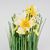 Пасхальная композиция «Желтые цветы», 20 см, изображение 3 ᐒ купить на  ❤ Like7km.com.ua