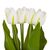 Букет тюльпанов "Красочность", белый, 40 см, изображение 2 ᐒ купить на  ❤ Like7km.com.ua