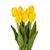 Букет тюльпанов 29 см, желтый, изображение 2 ᐒ купить на  ❤ Like7km.com.ua