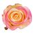 Головка розы, кремово-розовая, 8 см, изображение 3 ᐒ купить на  ❤ Like7km.com.ua