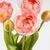 Букет тюльпанов, 5 бутонов, розовый, 39 см, изображение 4 ᐒ купить на  ❤ Like7km.com.ua