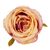 Головка розы, бежево-розовая, 9 см, изображение 3 ᐒ купить на  ❤ Like7km.com.ua