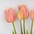 Букет латексных тюльпанов, 5 бутонов, розовый, 50 см, изображение 2 ᐒ купить на  ❤ Like7km.com.ua