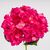 Искусственная гортензия, ярко-розовая, 67 см, изображение 3 ᐒ купить на  ❤ Like7km.com.ua