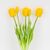 Букет латексных тюльпанов, 5 бутонов, желтый, 44 см, изображение 2 ᐒ купить на  ❤ Like7km.com.ua