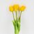 Букет латексных тюльпанов, 5 бутонов, желтый, 49 см, изображение 2 ᐒ купить на  ❤ Like7km.com.ua
