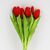 Букет латексных тюльпанов, 7 бутонов, красный, 31 см, изображение 2 ᐒ купить на  ❤ Like7km.com.ua