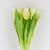 Букет латексных тюльпанов, 7 бутонов, бело-зеленый, 31 см, изображение 2 ᐒ купить на  ❤ Like7km.com.ua