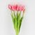 Букет латексных тюльпанов, 5 бутонов, розовый, 38 см, изображение 2 ᐒ купить на  ❤ Like7km.com.ua
