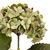Цветок искусственный "Гортензия салатовая", изображение 3 ᐒ купить на  ❤ Like7km.com.ua