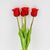 Букет латексных тюльпанов, 5 бутонов, красный, 49 см, изображение 2 ᐒ купить на  ❤ Like7km.com.ua