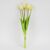 Букет латексных тюльпанов, 5 бутонов, бело-зеленый, 49 см, изображение 4 ᐒ купить на  ❤ Like7km.com.ua