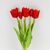 Букет латексных тюльпанов, 5 бутонов, красный, 38 см, изображение 2 ᐒ купить на  ❤ Like7km.com.ua