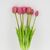 Букет латексных тюльпанов, 7 бутонов, розовый, 48 см, изображение 2 ᐒ купить на  ❤ Like7km.com.ua