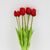 Букет латексных тюльпанов, 7 бутонов, красный, 48 см, изображение 2 ᐒ купить на  ❤ Like7km.com.ua