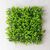 Фитомодуль искусственный "Травка", 50*50 cм, изображение 2 ᐒ купить на  ❤ Like7km.com.ua