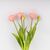Букет тюльпанов, 5 бутонов, розовый, 39 см, изображение 3 ᐒ купить на  ❤ Like7km.com.ua