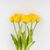 Букет тюльпанов, 5 бутонов, желтый, 39 см, изображение 3 ᐒ купить на  ❤ Like7km.com.ua