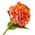 Гортензия "Анабель", оранжевая, 57 см, изображение 2 ᐒ купить на  ❤ Like7km.com.ua