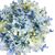 Цветок  "Гортензия шаровидная" синяя, изображение 3 ᐒ купить на  ❤ Like7km.com.ua