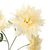 Хризантема, кремовая, изображение 2 ᐒ купить на  ❤ Like7km.com.ua