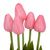 Букет тюльпанов "Рапсодия", розовый, 25,5 см, изображение 2 ᐒ купить на  ❤ Like7km.com.ua