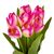 Букет тюльпанов "Красочность", розовый, 40 см, изображение 2 ᐒ купить на  ❤ Like7km.com.ua