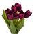 Букет тюльпанов "Красочность", фиолетовый, 40 см, изображение 2 ᐒ купить на  ❤ Like7km.com.ua