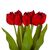 Букет тюльпанов "Красочность", красный, 40 см, изображение 2 ᐒ купить на  ❤ Like7km.com.ua