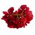 Головка гортензии, красная, 16 см, изображение 3 ᐒ купить на  ❤ Like7km.com.ua
