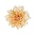 Головка георгина, бежевая, 15 см, изображение 2 ᐒ купить на  ❤ Like7km.com.ua