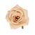 Головка розы, кремовая, 7,5 см, изображение 2 ᐒ купить на  ❤ Like7km.com.ua