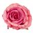 Головка розы, темно-розовая, 8 см, изображение 3 ᐒ купить на  ❤ Like7km.com.ua