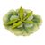 Головка пиона, зеленая, 17 см, изображение 4 ᐒ купить на  ❤ Like7km.com.ua