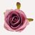 Головка розы, темно-розовая, 6 см, изображение 3 ᐒ купить на  ❤ Like7km.com.ua