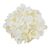 Головка гортензии, белая, 9 см, изображение 3 ᐒ купить на  ❤ Like7km.com.ua