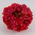 Головка гортензии, красная, 20 см, изображение 3 ᐒ купить на  ❤ Like7km.com.ua