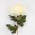 Искусственная хризантема, кремовая, 76 см, изображение 2 ᐒ купить на  ❤ Like7km.com.ua