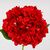 Искусственная гортензия, красная, 67 см, изображение 3 ᐒ купить на  ❤ Like7km.com.ua