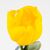 Искусственный тюльпан с эффектом живого прикосновения, желтый, 45 см, изображение 3 ᐒ купить на  ❤ Like7km.com.ua