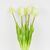 Букет латексных тюльпанов, 5 бутонов, бело-зеленый, 45 см, изображение 2 ᐒ купить на  ❤ Like7km.com.ua