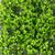 Фитомодуль искусственный "Травка", 50*50 cм, изображение 3 ᐒ купить на  ❤ Like7km.com.ua