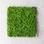 Фитомодуль искусственный "Травка", 50*50 cм, изображение 2 ᐒ купить на  ❤ Like7km.com.ua