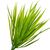 Куст травы светло-зелёный искусственный, изображение 2 ᐒ купить на  ❤ Like7km.com.ua