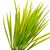 Куст травы зелёно-желтый искусственный, изображение 2 ᐒ купить на  ❤ Like7km.com.ua