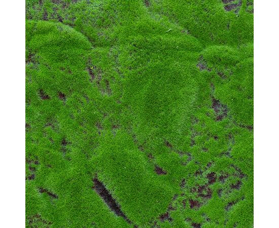 Декоративная панель из искусственного мха, 100*100 см ᐒ купить на  ❤ Like7km.com.ua