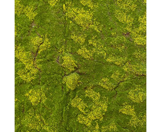 Декоративная панель из искусственного мха, 100*100 см ᐒ купить на  ❤ Like7km.com.ua